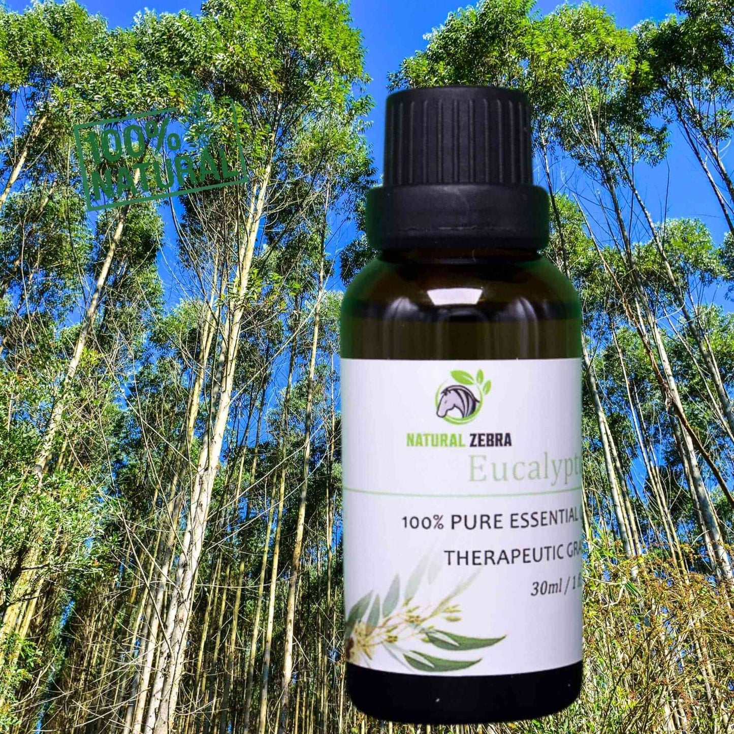 NATURAL ZEBRA | Eucalyptus Essential Oil -