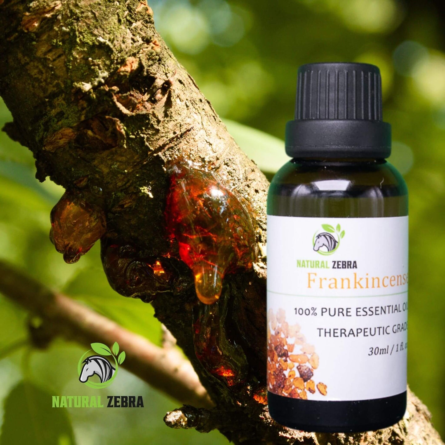 NATURAL ZEBRA | Frankincense Essential Oil -