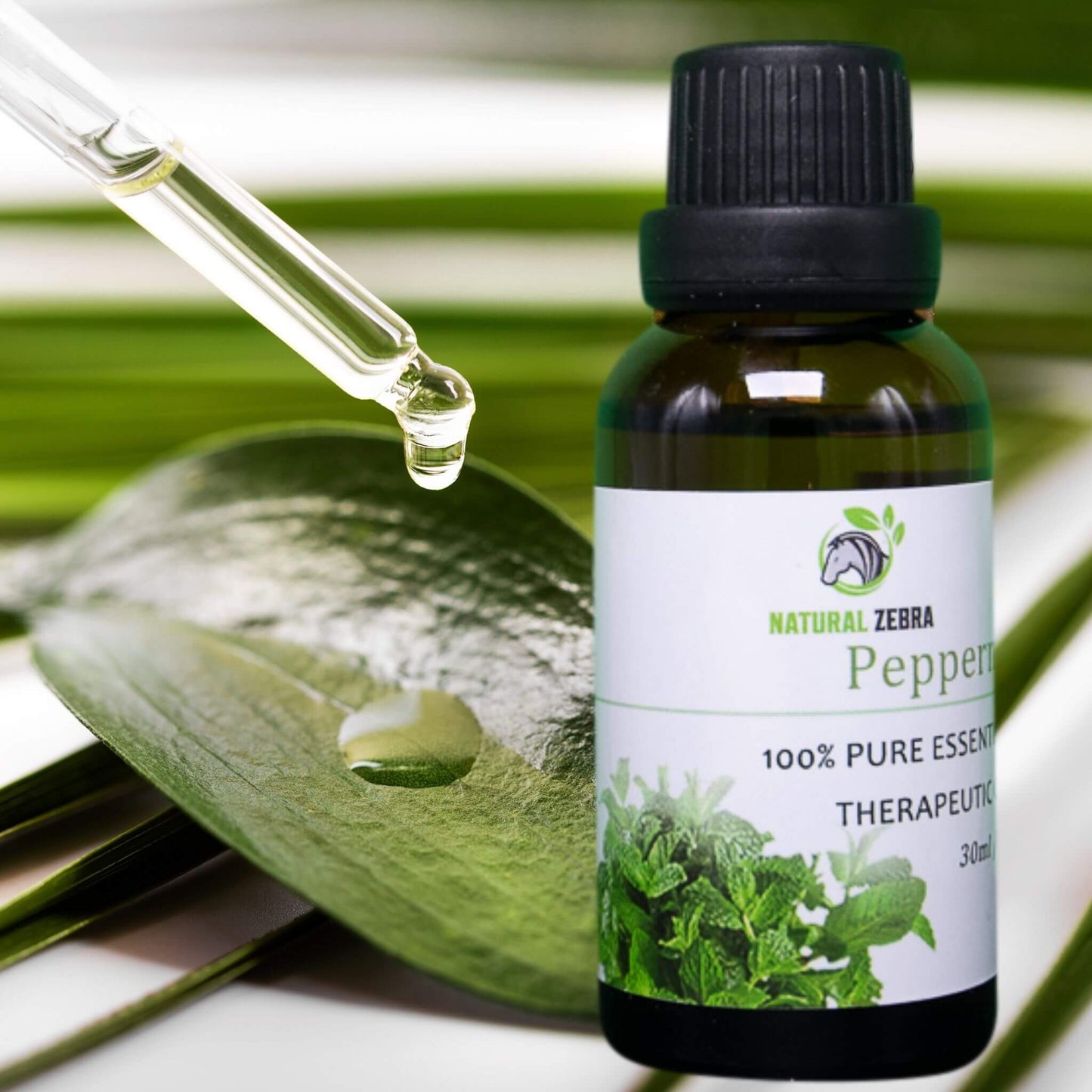 NATURAL ZEBRA | Peppermint Essential Oil -