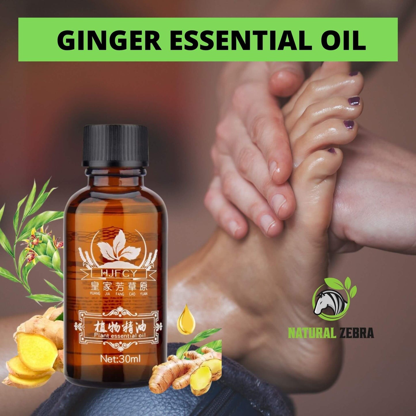 NATURAL ZEBRA | Ginger Essential Oil | 3-Bottles Bundle -