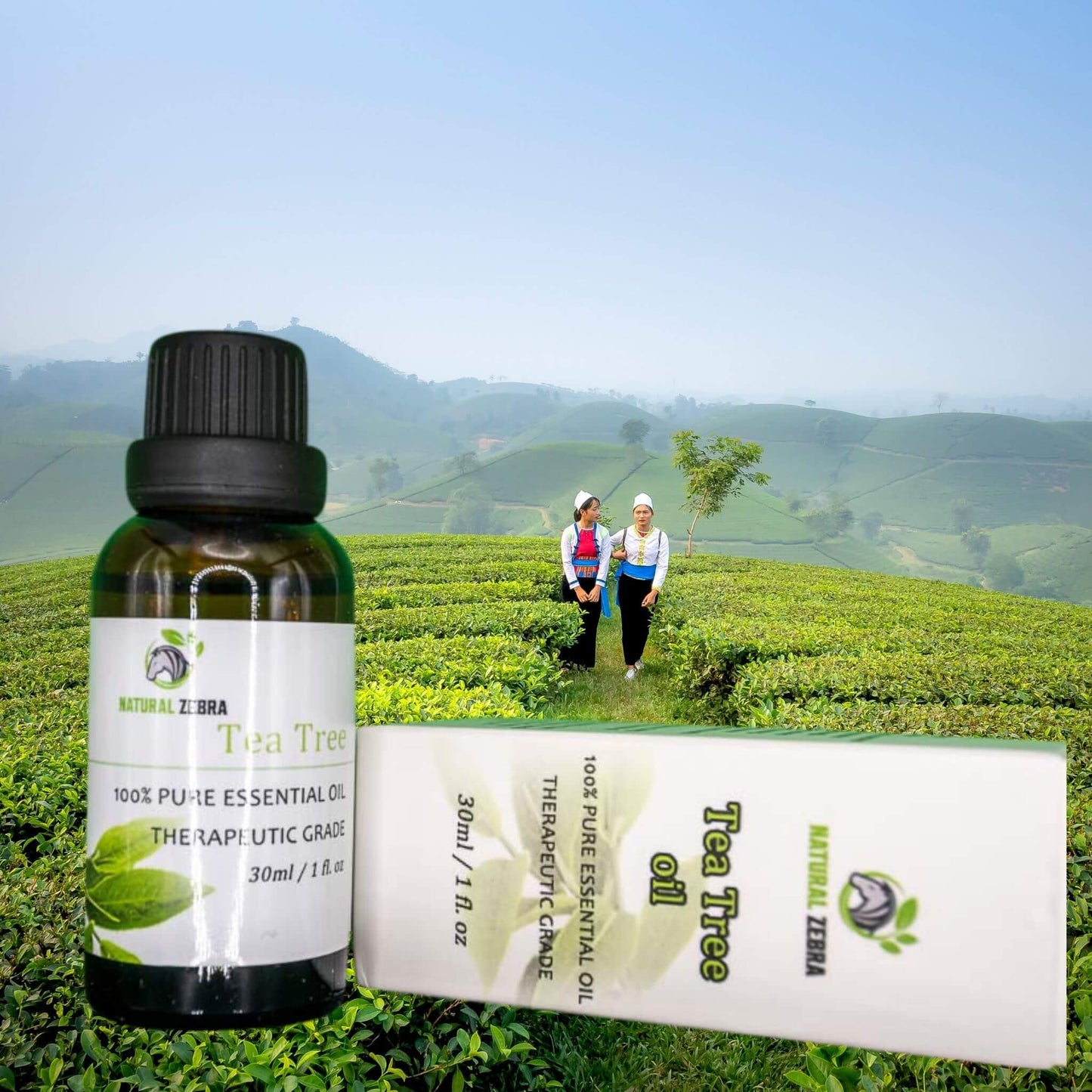 NATURAL ZEBRA | Tea Tree Essential Oil -