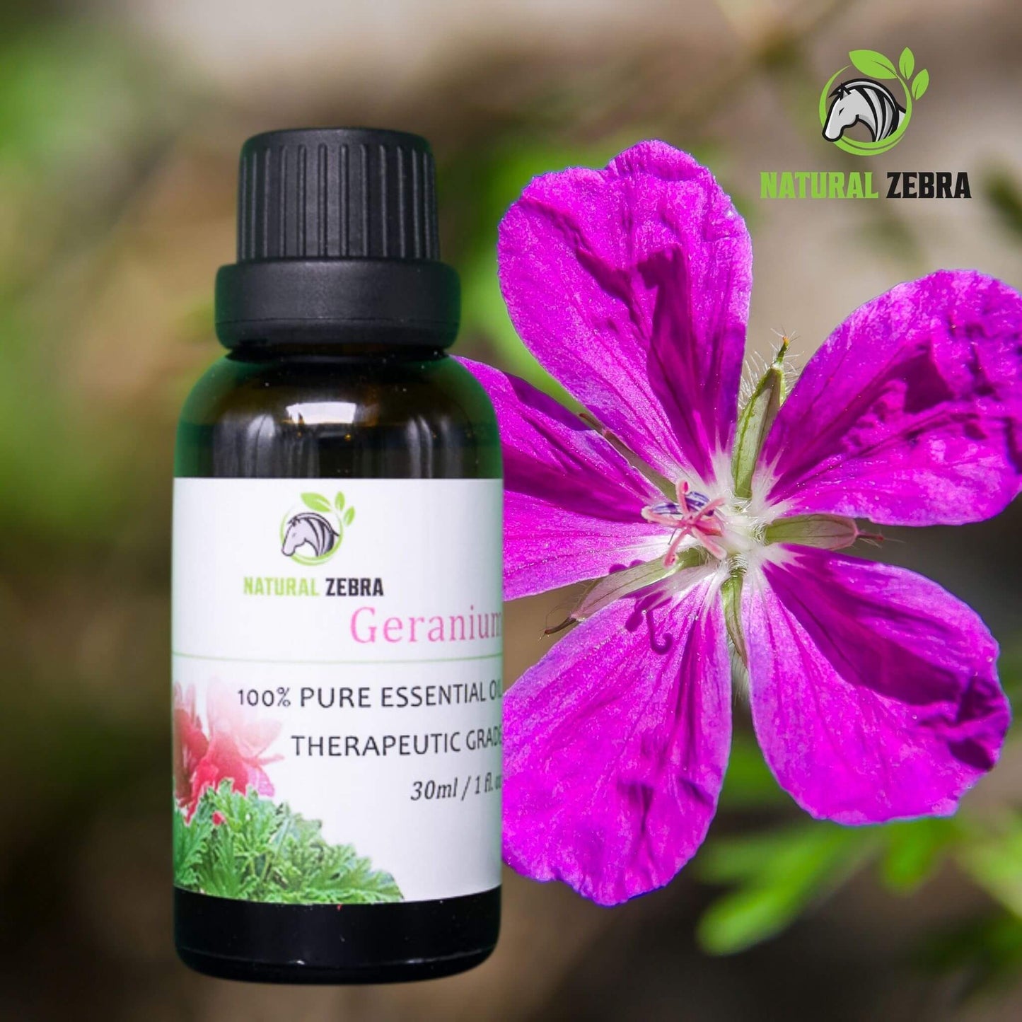 NATURAL ZEBRA | Geranium Essential Oil -