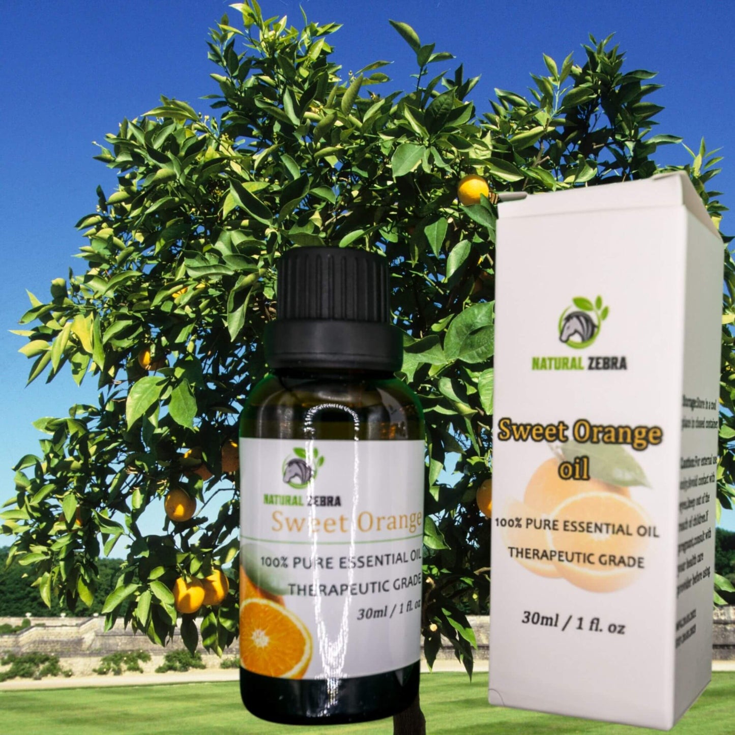 NATURAL ZEBRA | Sweet Orange Essential Oil -