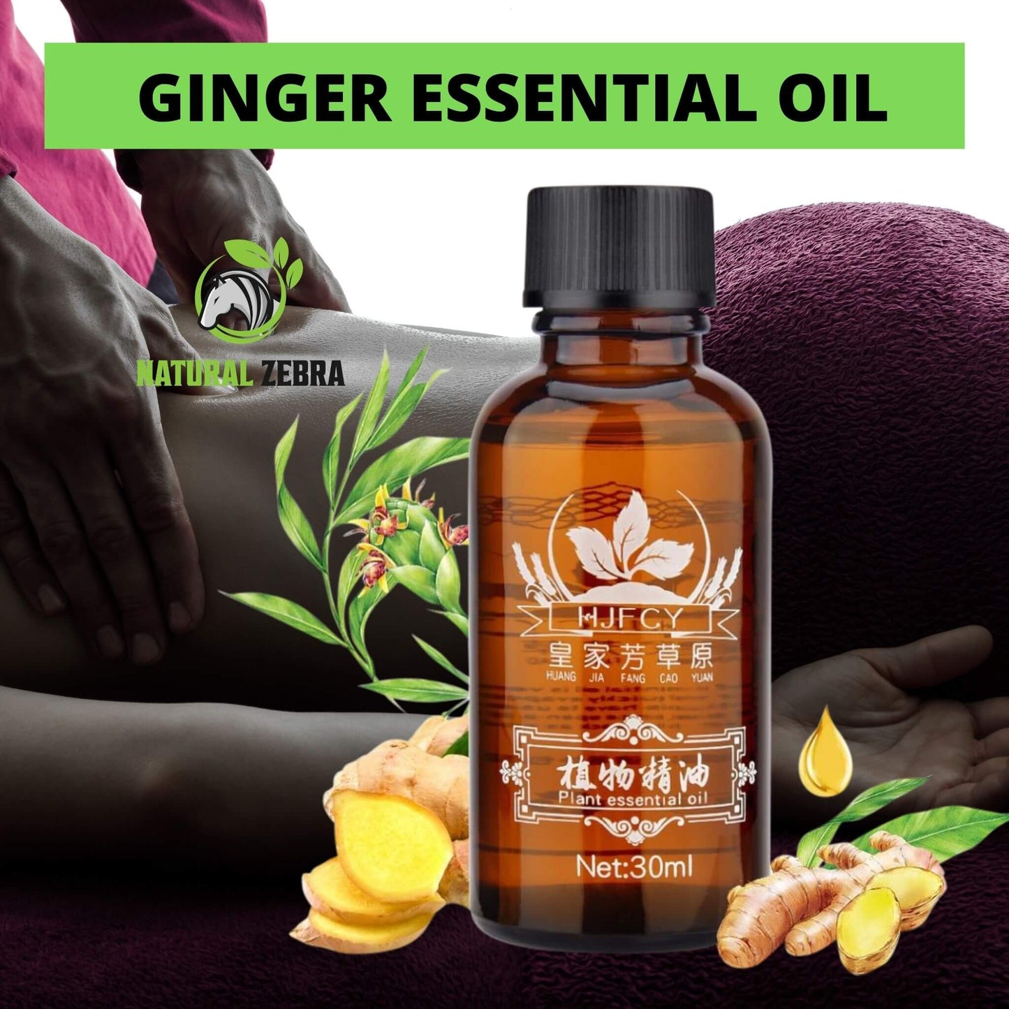 NATURAL ZEBRA | Ginger Essential Oil | 5 Bottles Bundle -