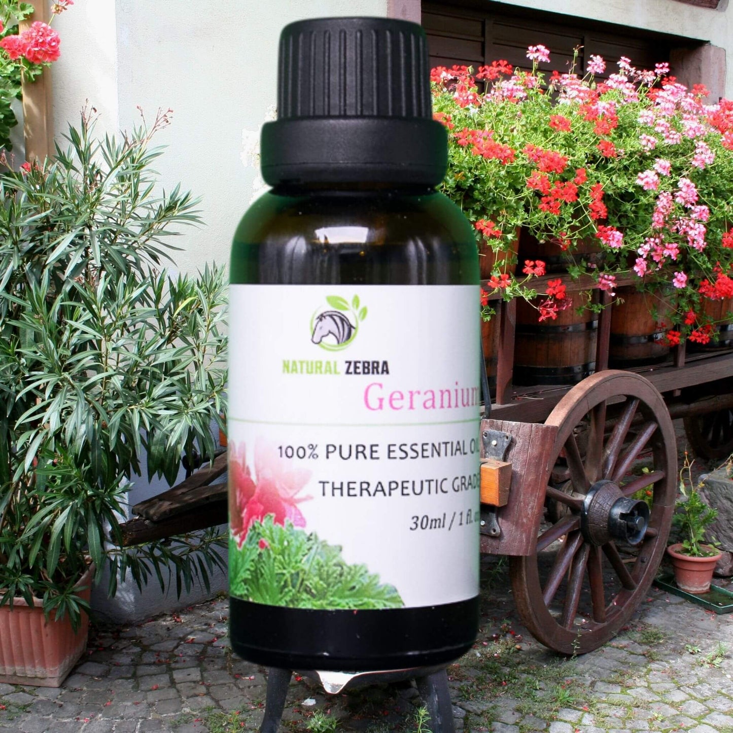 NATURAL ZEBRA | Geranium Essential Oil -
