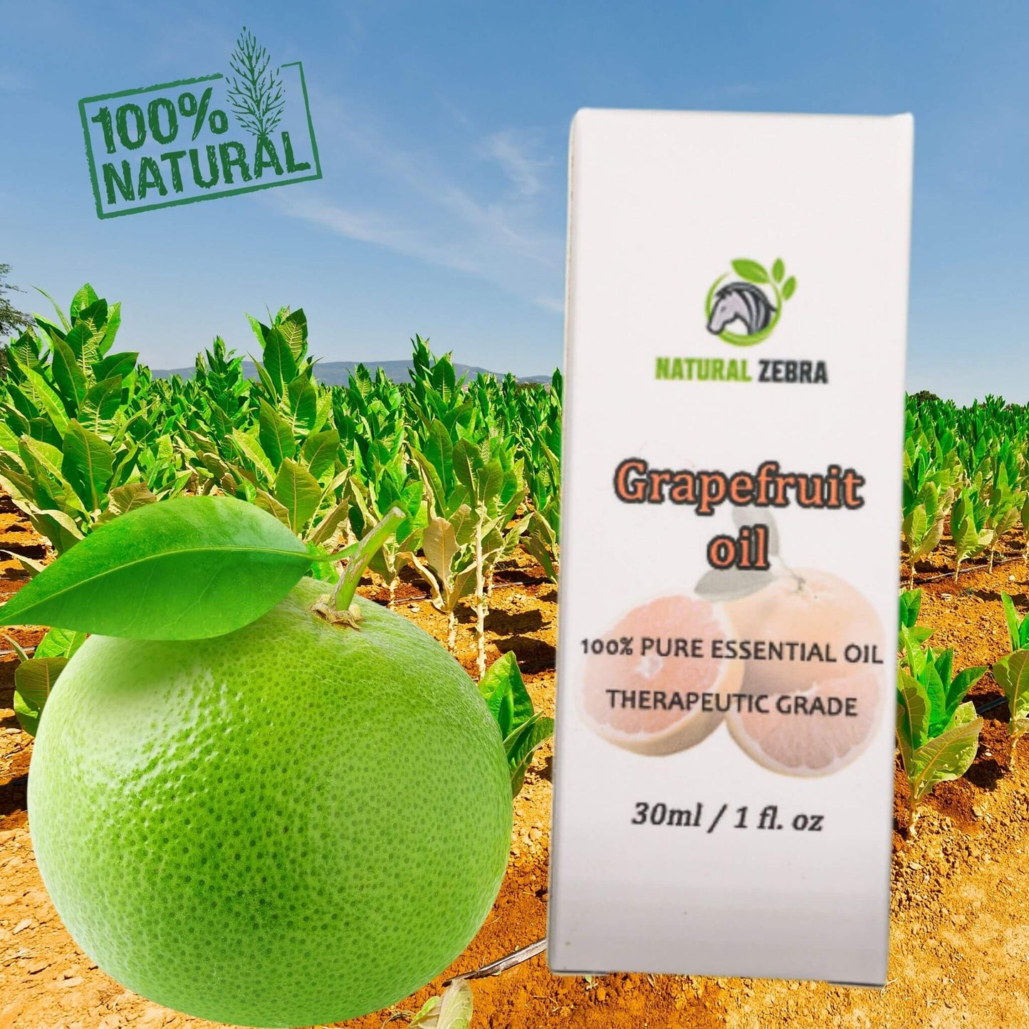 NATURAL ZEBRA | Grapefruit Essential Oil -