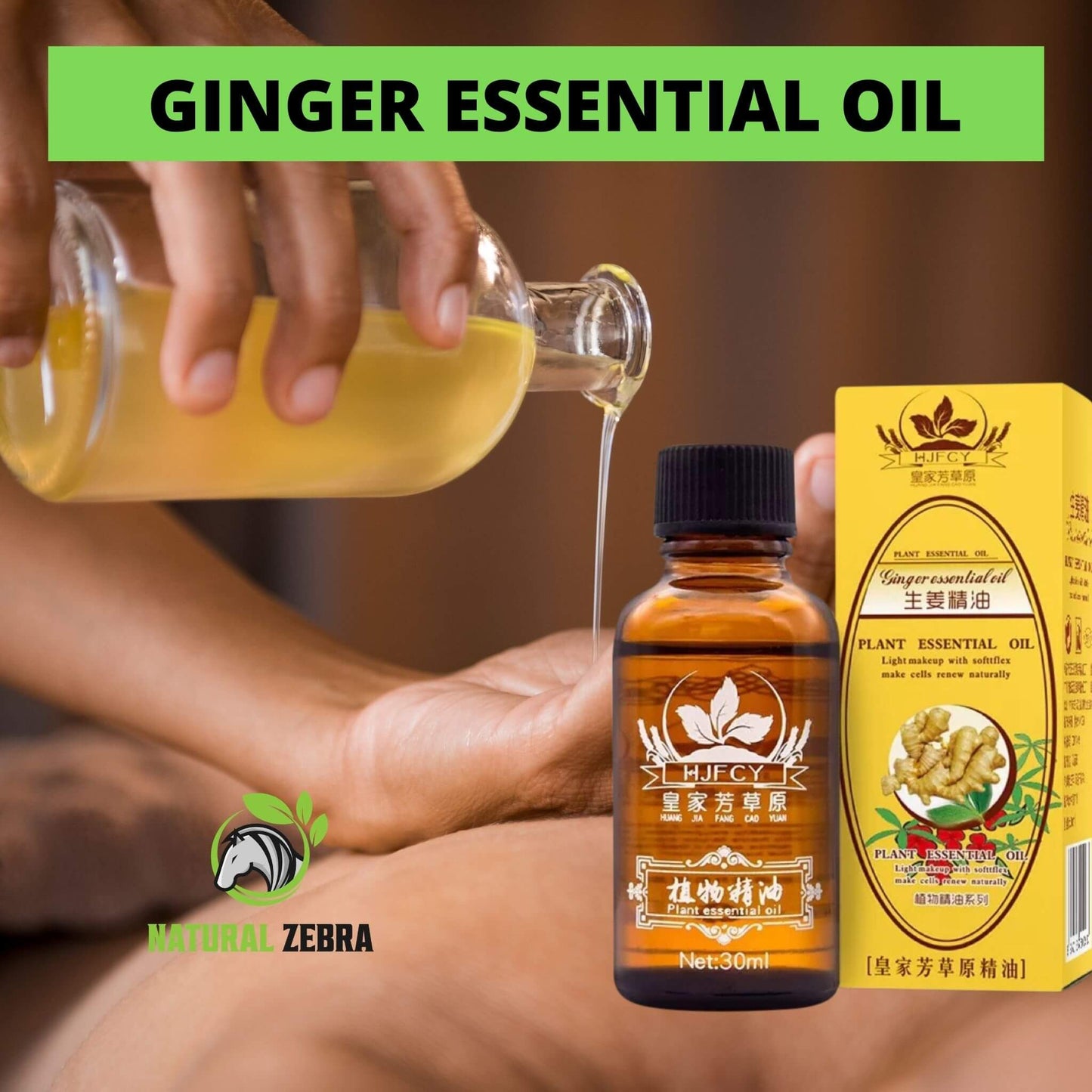 NATURAL ZEBRA | Ginger Essential Oil | 5 Bottles Bundle -