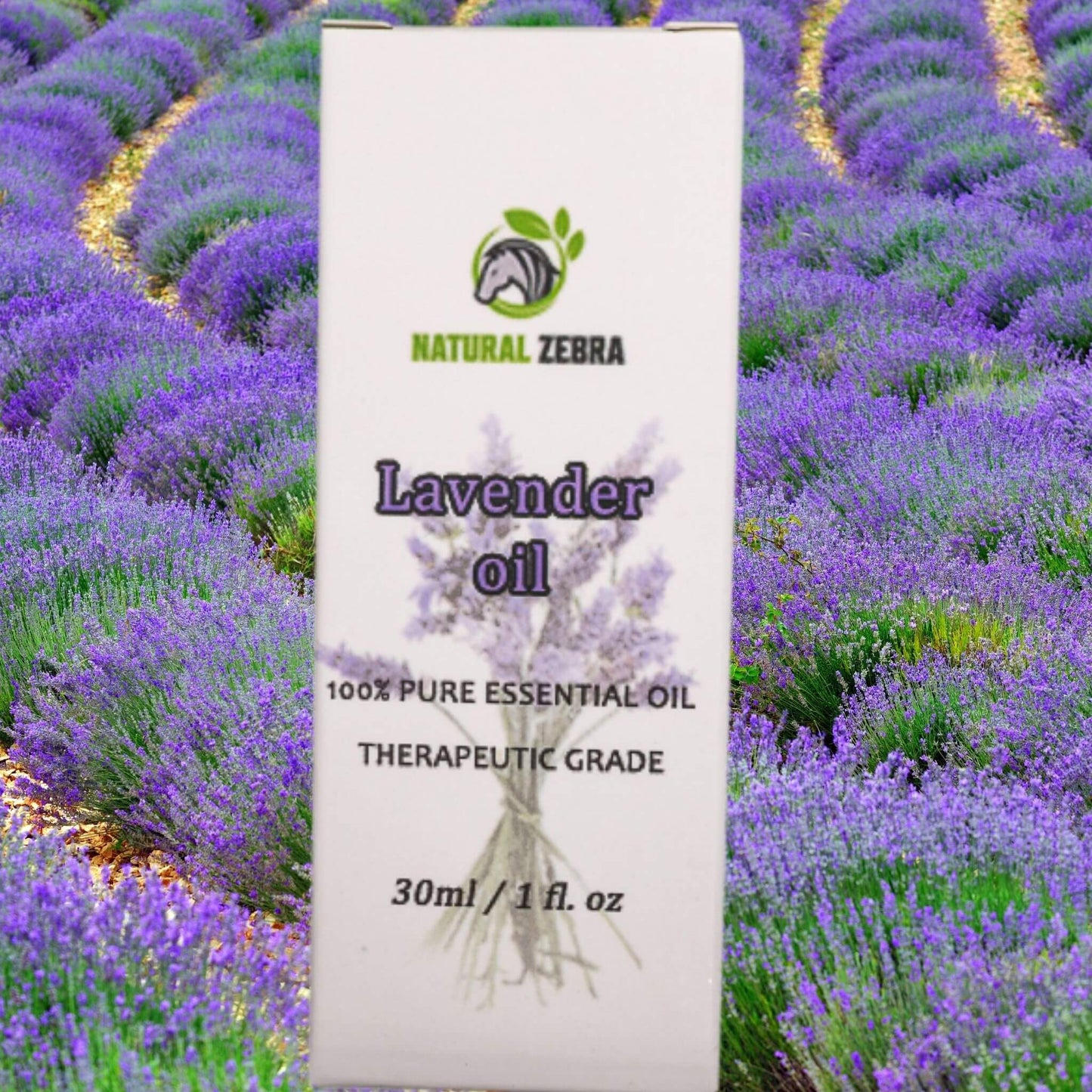 NATURAL ZEBRA | Lavender Essential Oil -