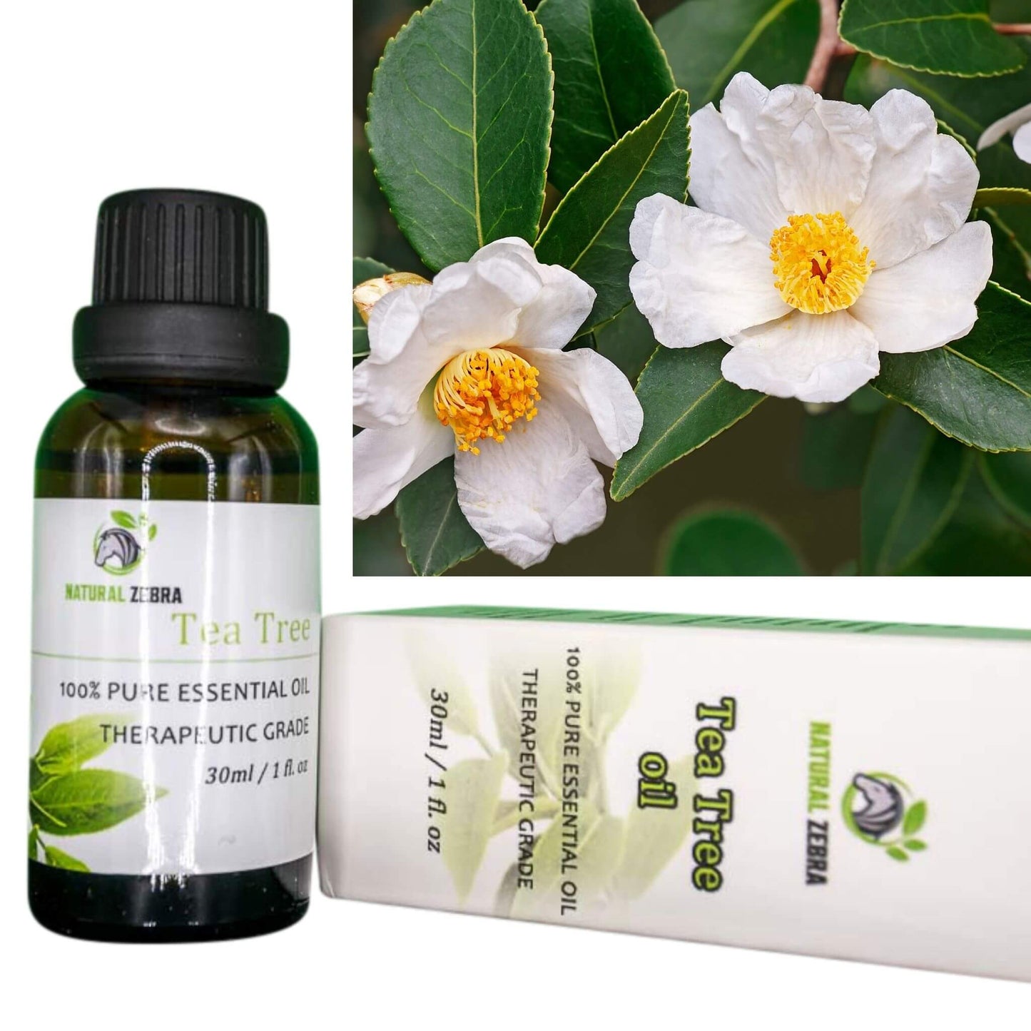 NATURAL ZEBRA | Tea Tree Essential Oil -