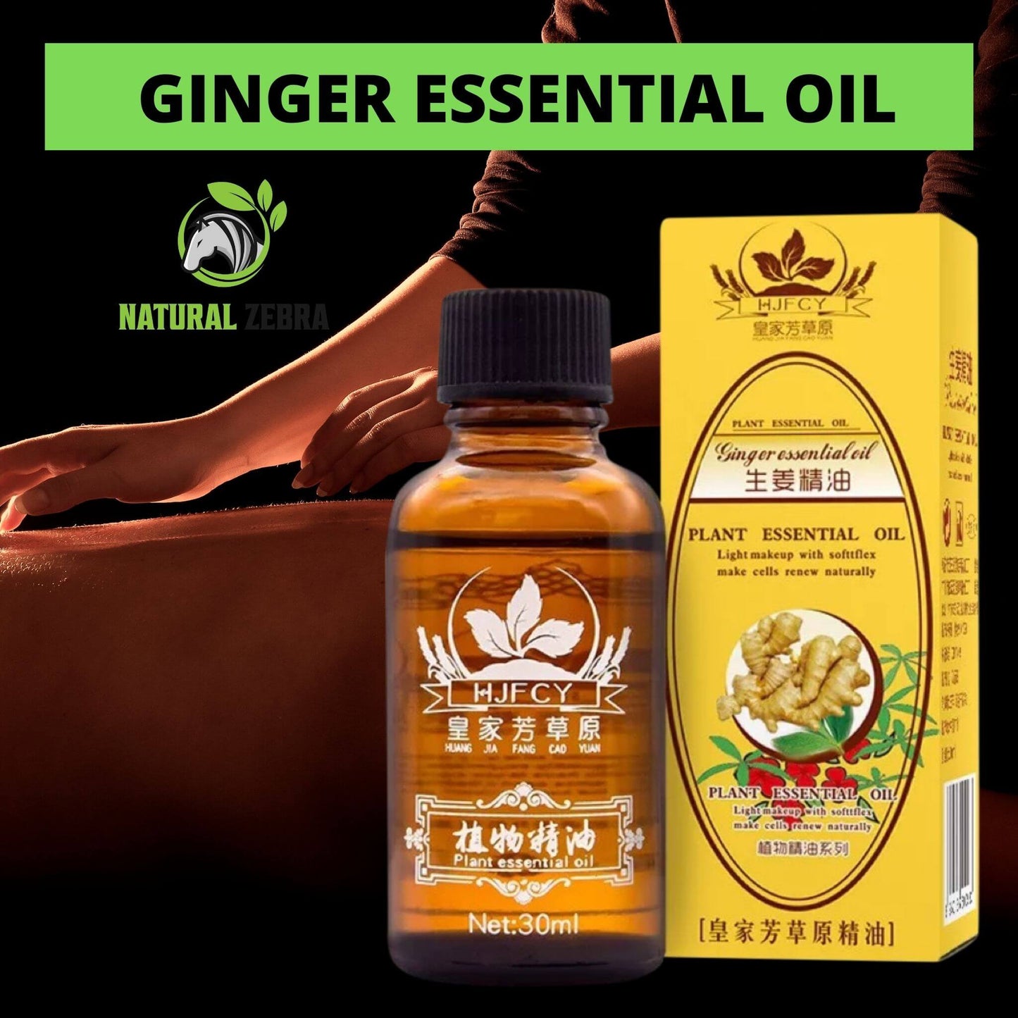 NATURAL ZEBRA | Ginger Essential Oil | 3-Bottles Bundle -