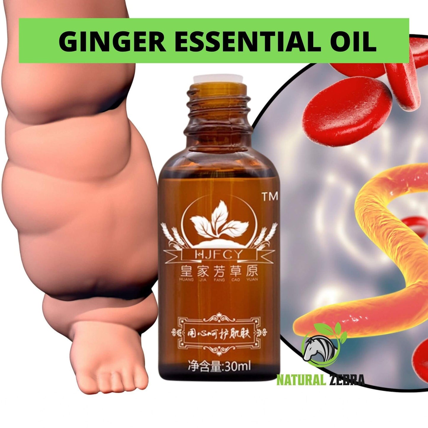 NATURAL ZEBRA | Ginger Essential Oil | 3-Bottles Bundle -