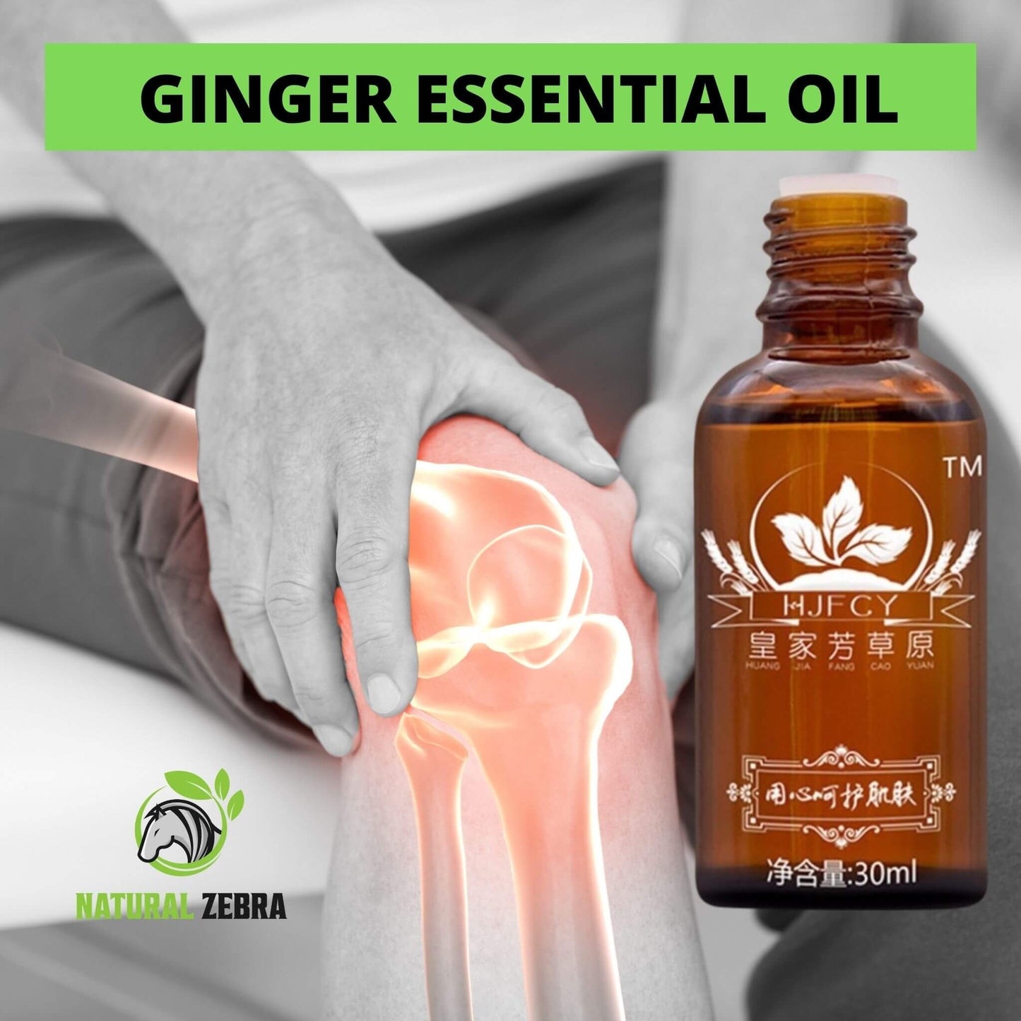 NATURAL ZEBRA | Ginger Essential Oil | 3-Bottles Bundle -