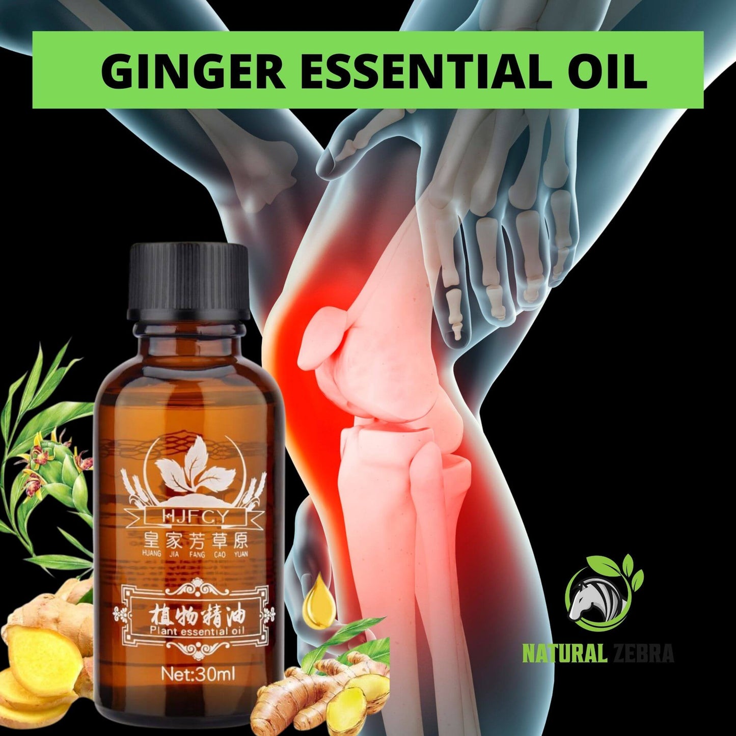 NATURAL ZEBRA | Ginger Essential Oil | 3-Bottles Bundle -