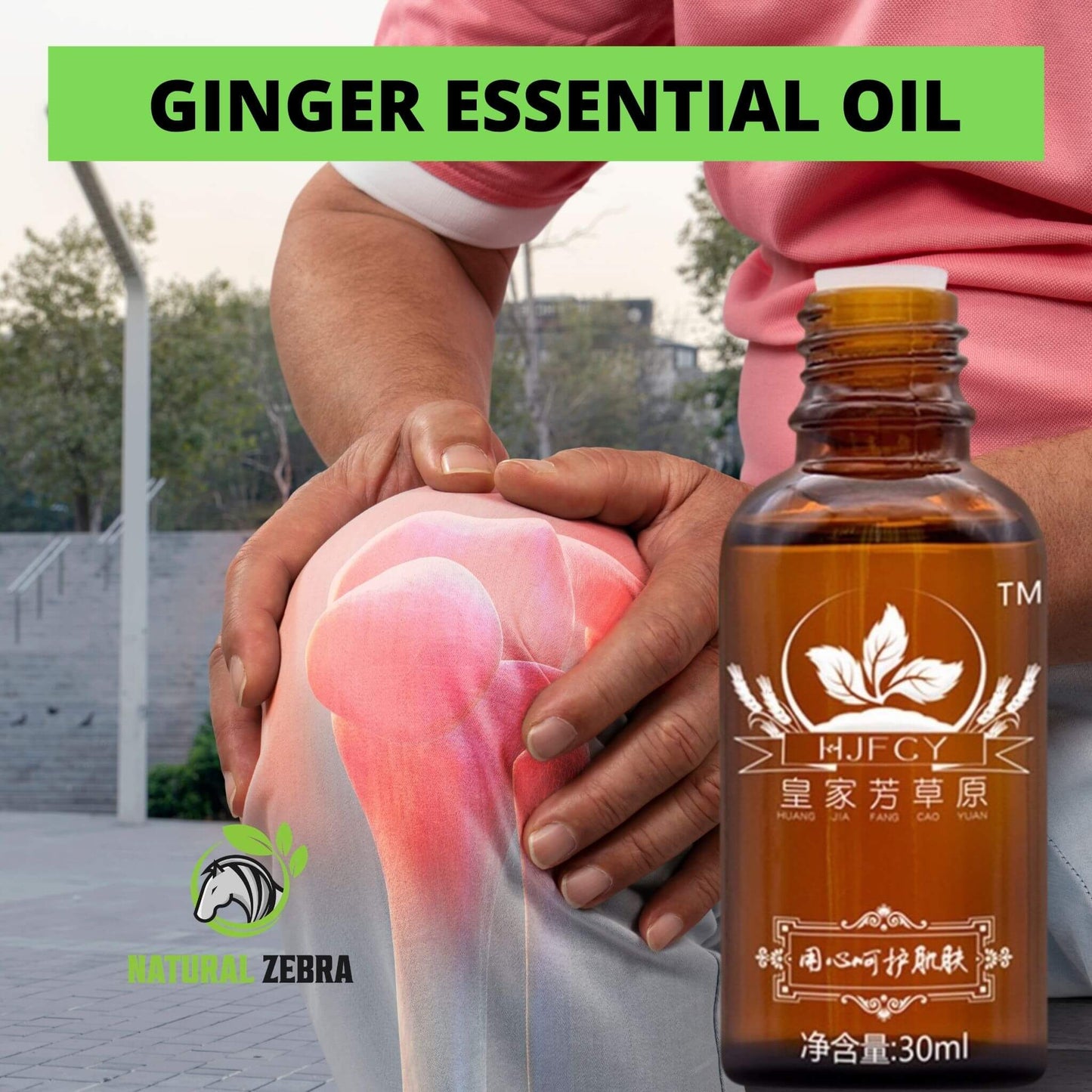 NATURAL ZEBRA | Ginger Essential Oil | 5 Bottles Bundle -