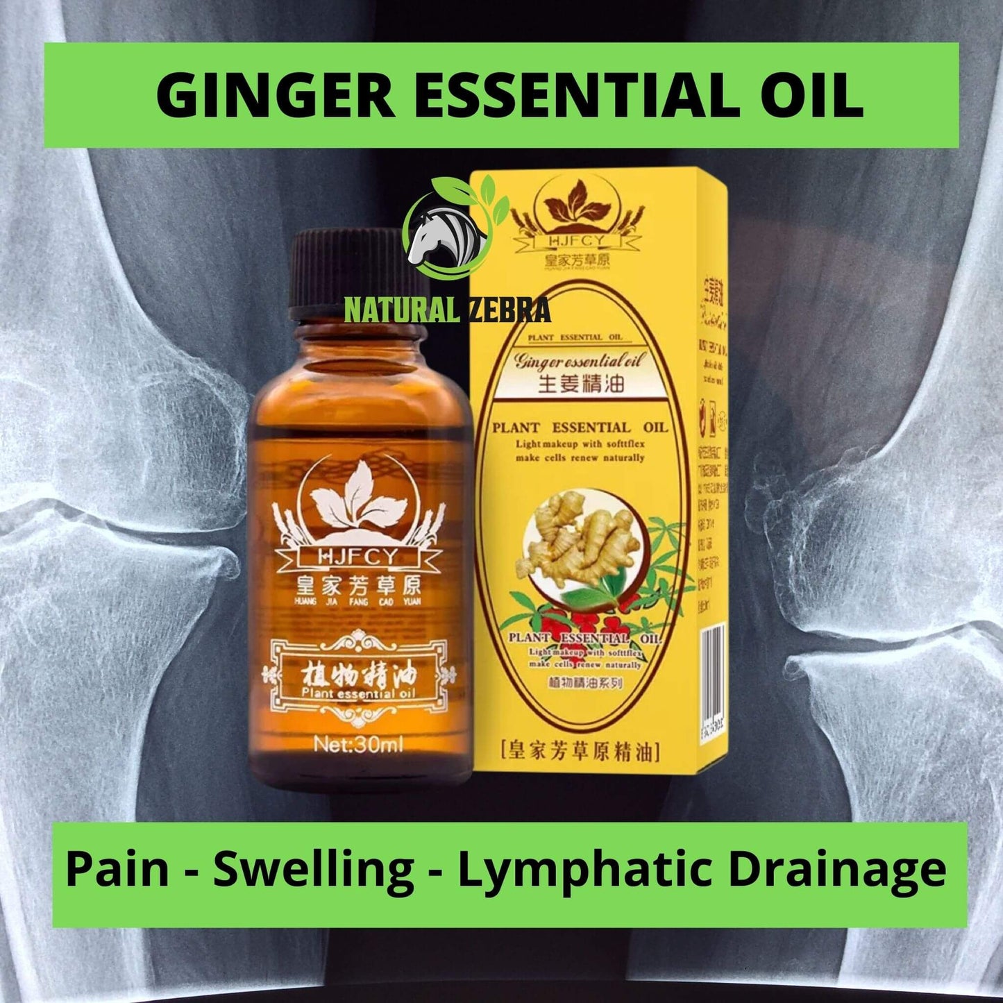 NATURAL ZEBRA | Ginger Essential Oil | 3-Bottles Bundle -