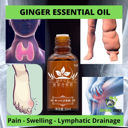 Ginger Essential Oil - 30ml - 35 - NATURAL ZEBRA