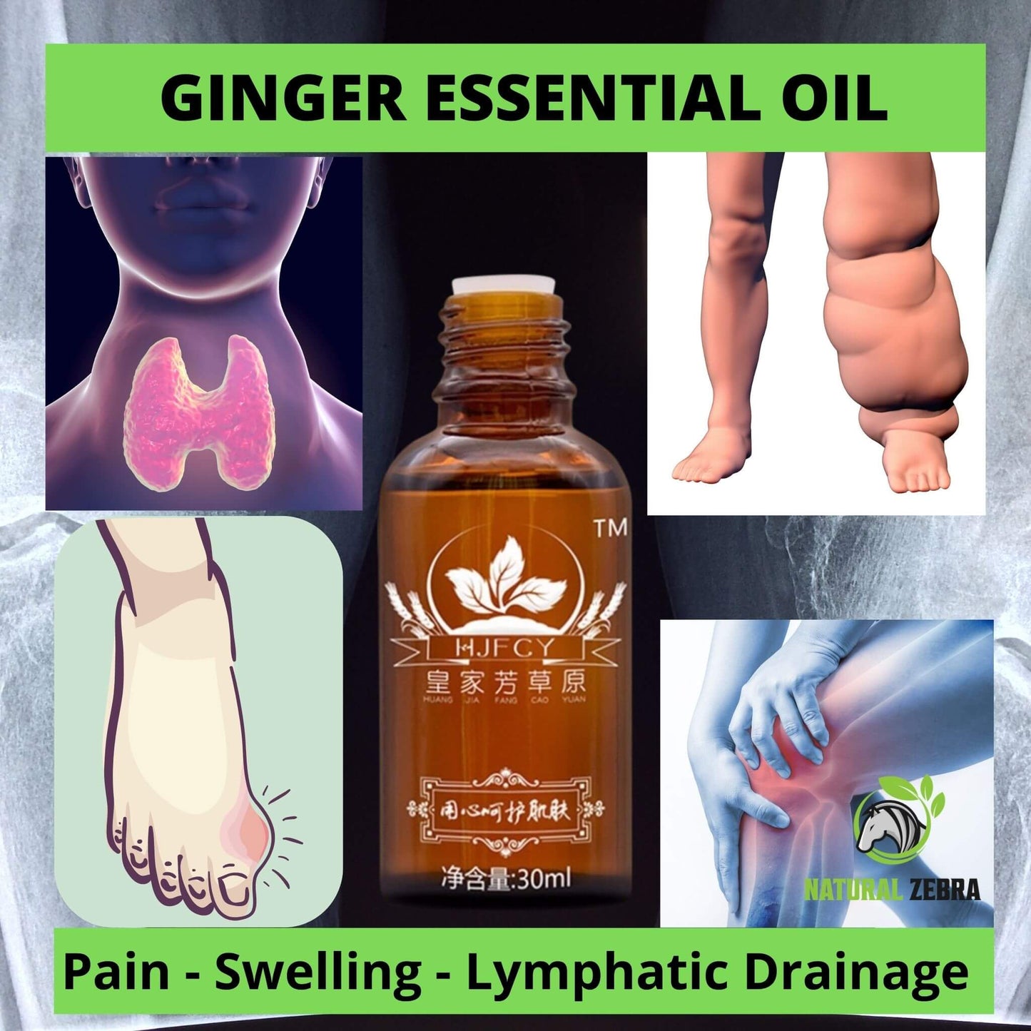 NATURAL ZEBRA | Ginger Essential Oil | 5 Bottles Bundle -