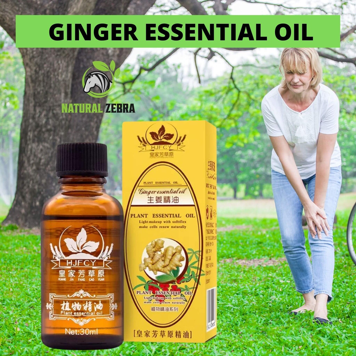 NATURAL ZEBRA | Ginger Essential Oil | 5 Bottles Bundle -