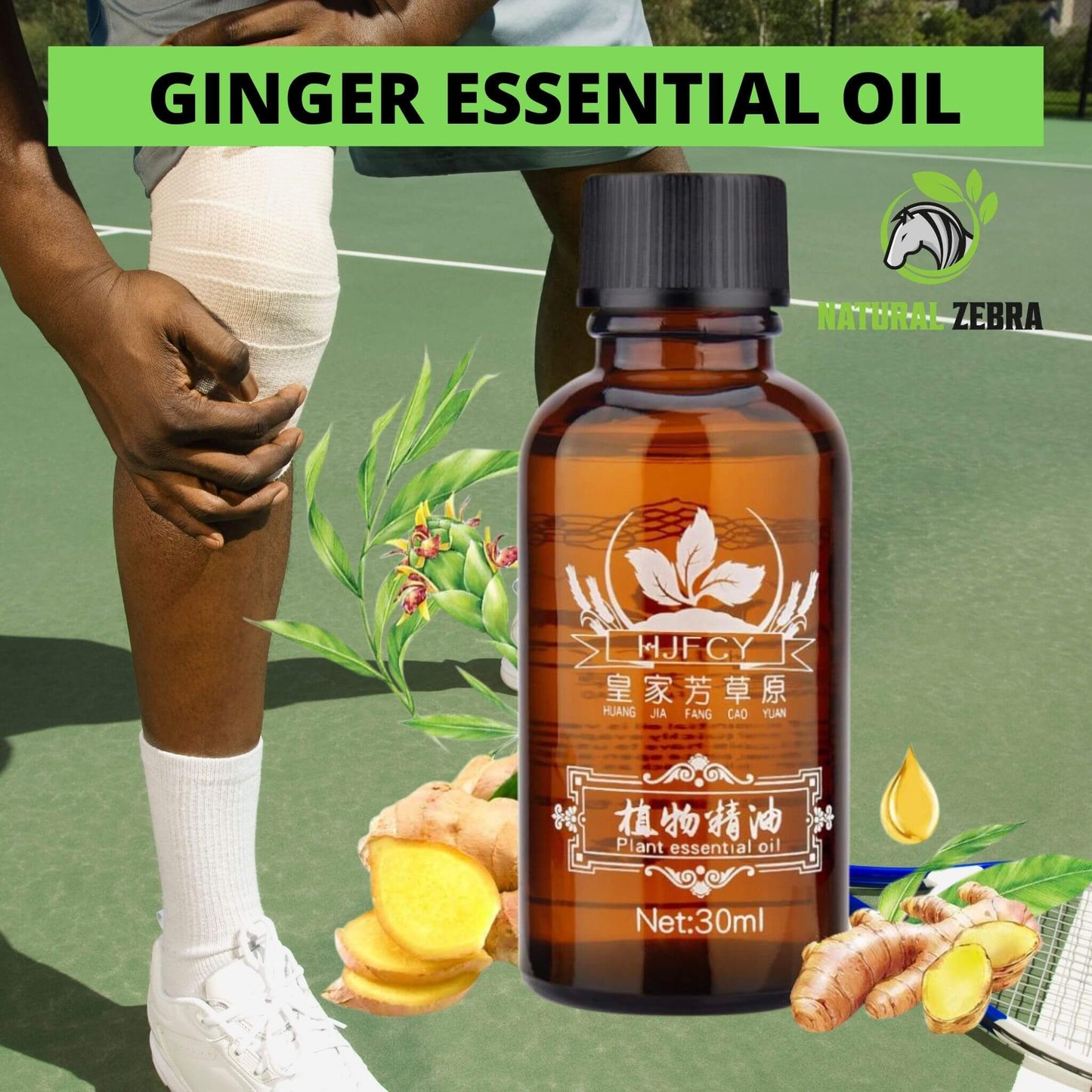 NATURAL ZEBRA | Ginger Essential Oil | 3-Bottles Bundle -