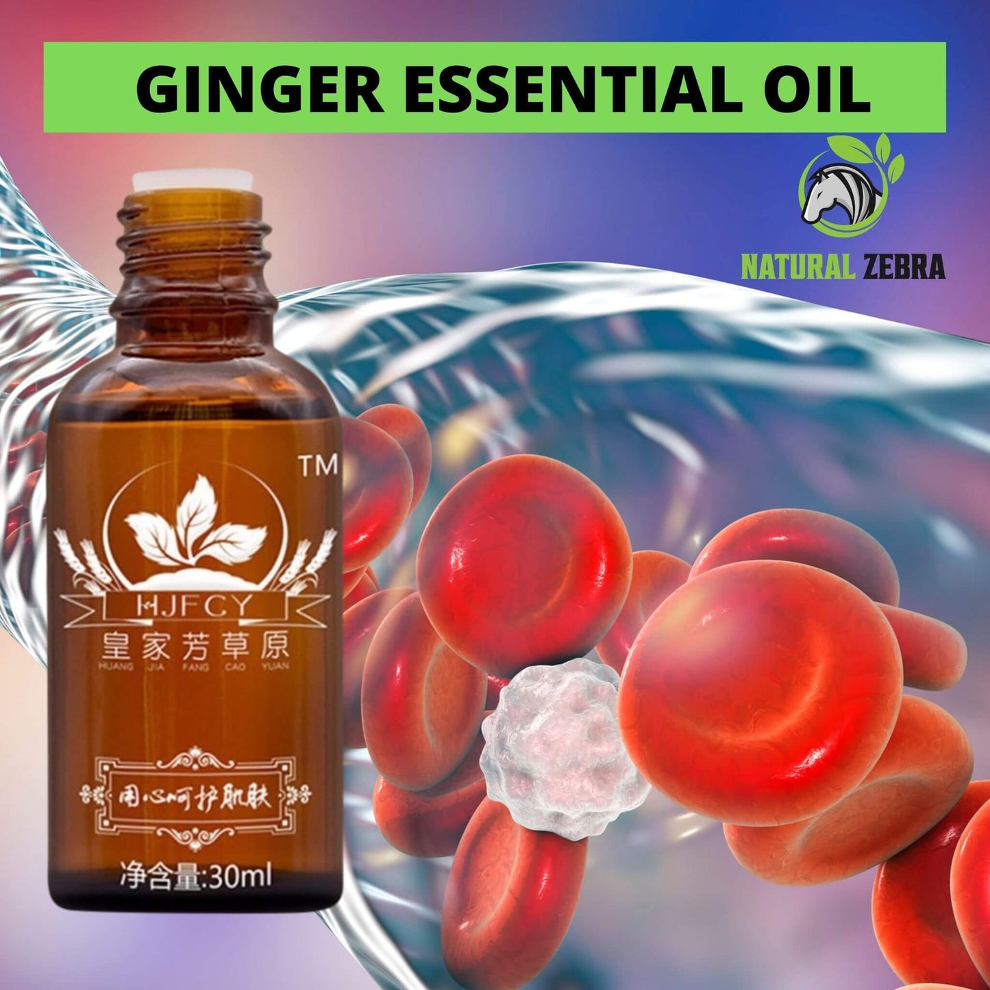 NATURAL ZEBRA | Ginger Essential Oil | 3-Bottles Bundle -