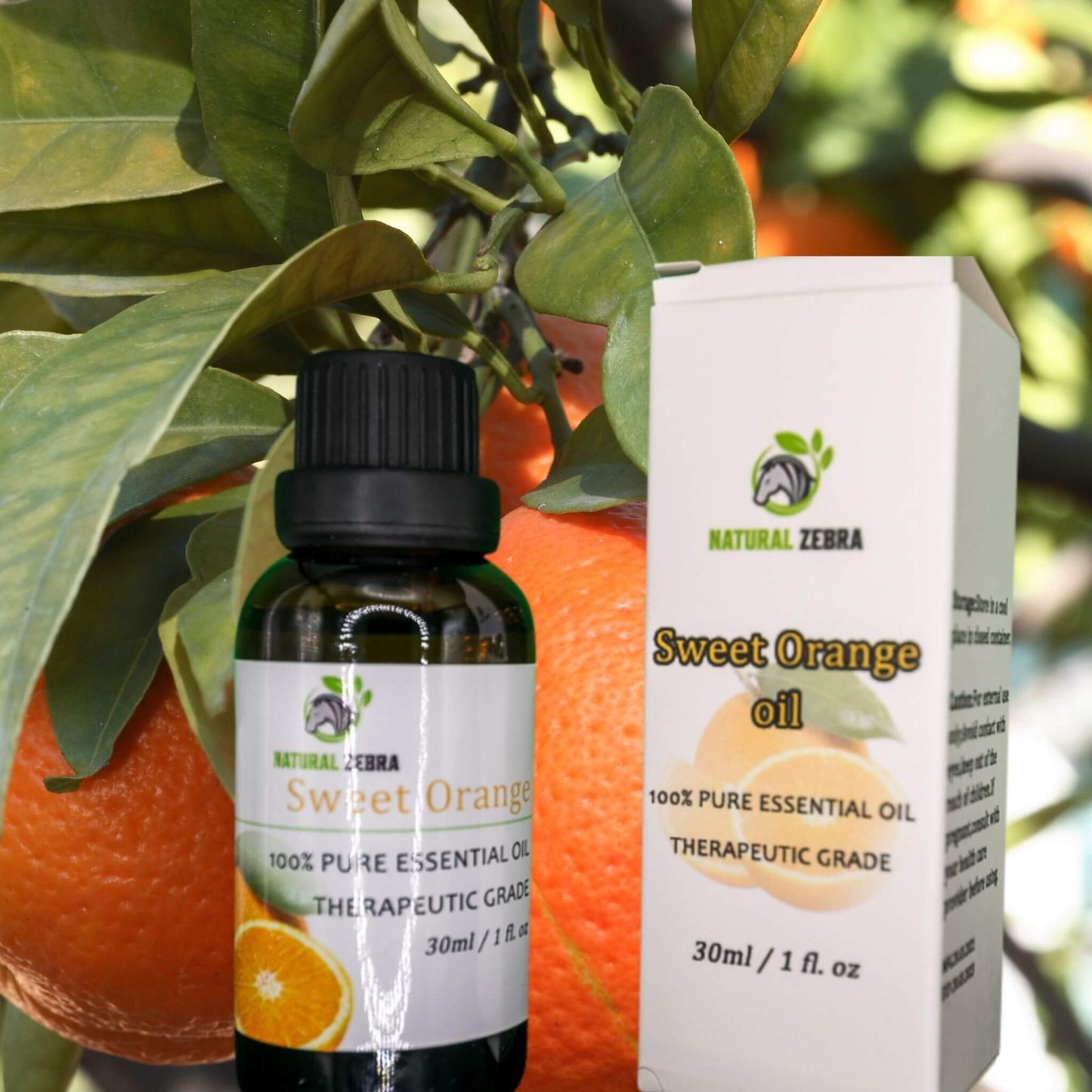 NATURAL ZEBRA | Sweet Orange Essential Oil -
