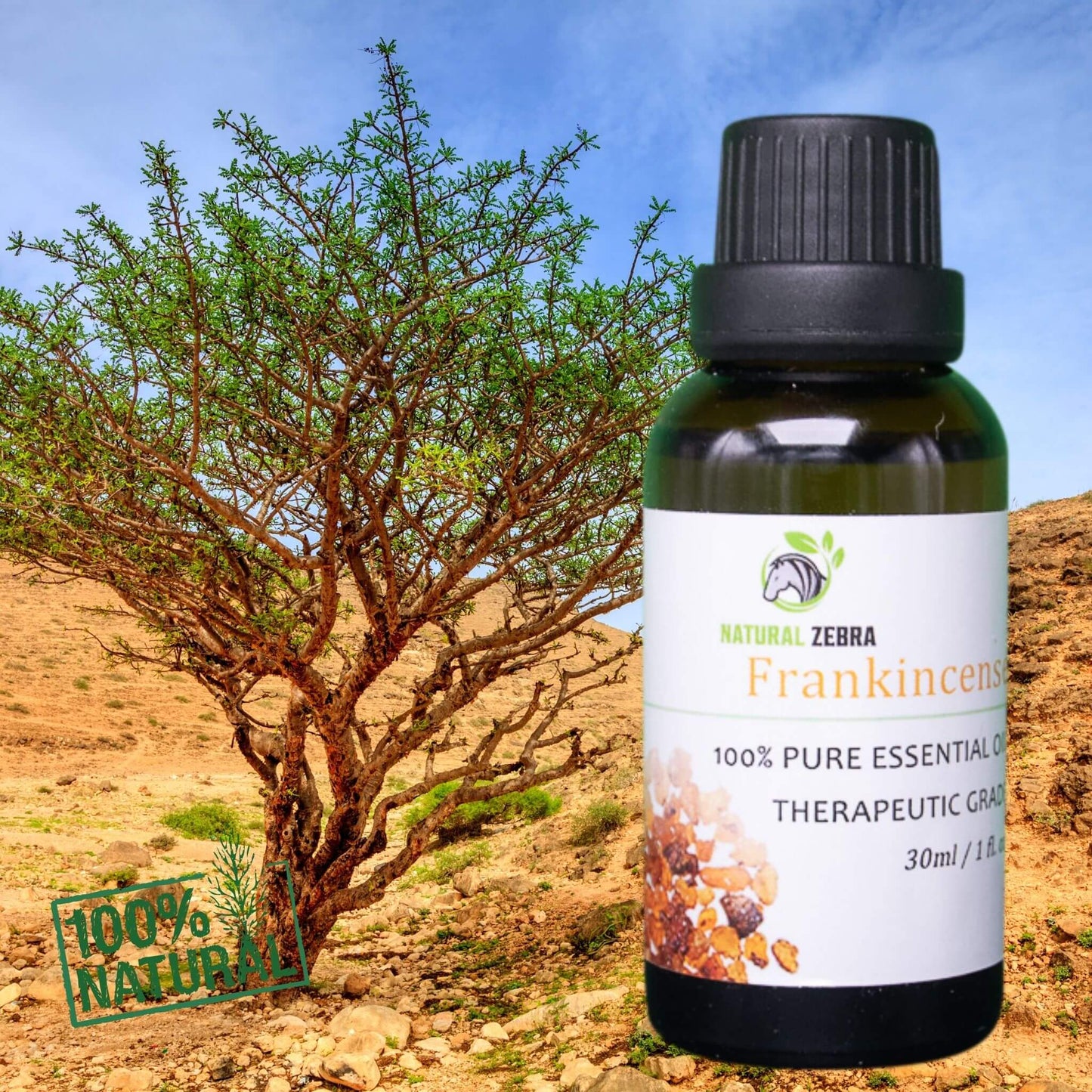 NATURAL ZEBRA | Frankincense Essential Oil -