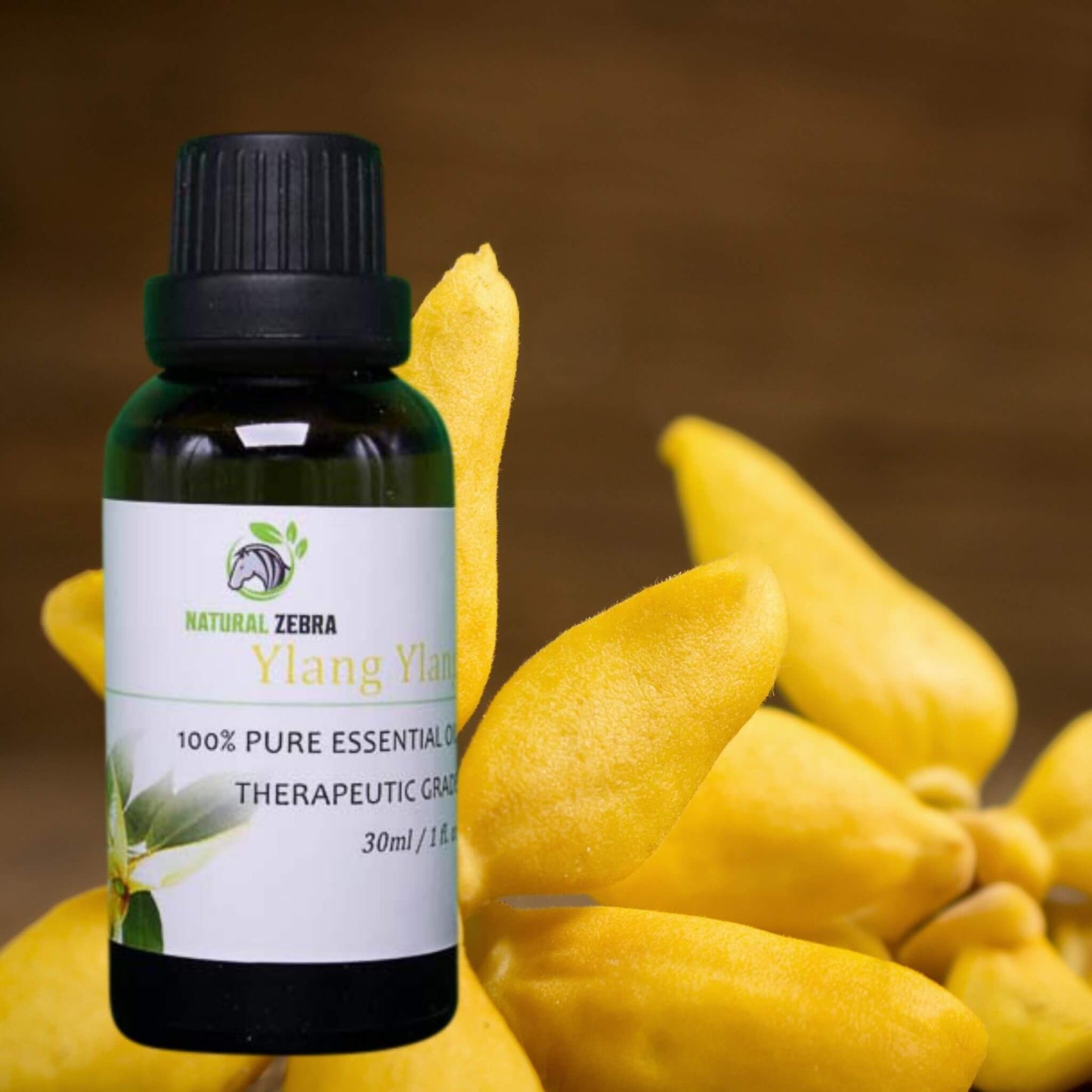 NATURAL ZEBRA | Ylang Ylang Essential Oil -