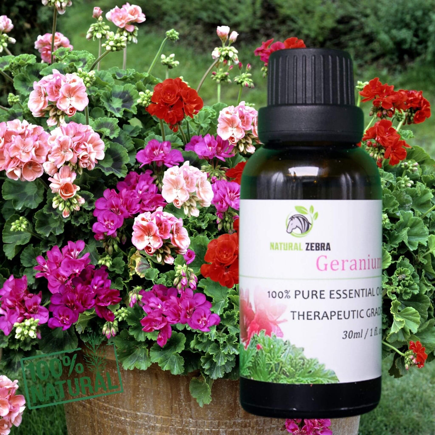 NATURAL ZEBRA | Geranium Essential Oil -