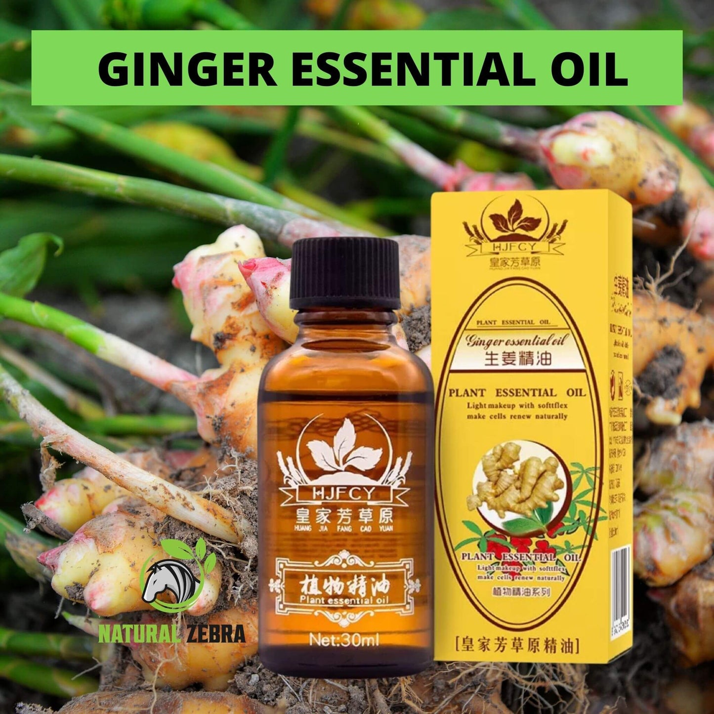 NATURAL ZEBRA | Ginger Essential Oil | 3-Bottles Bundle -