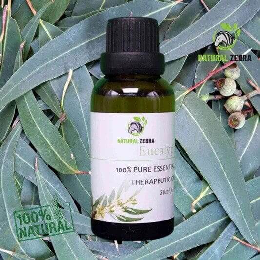 NATURAL ZEBRA | Eucalyptus Essential Oil -