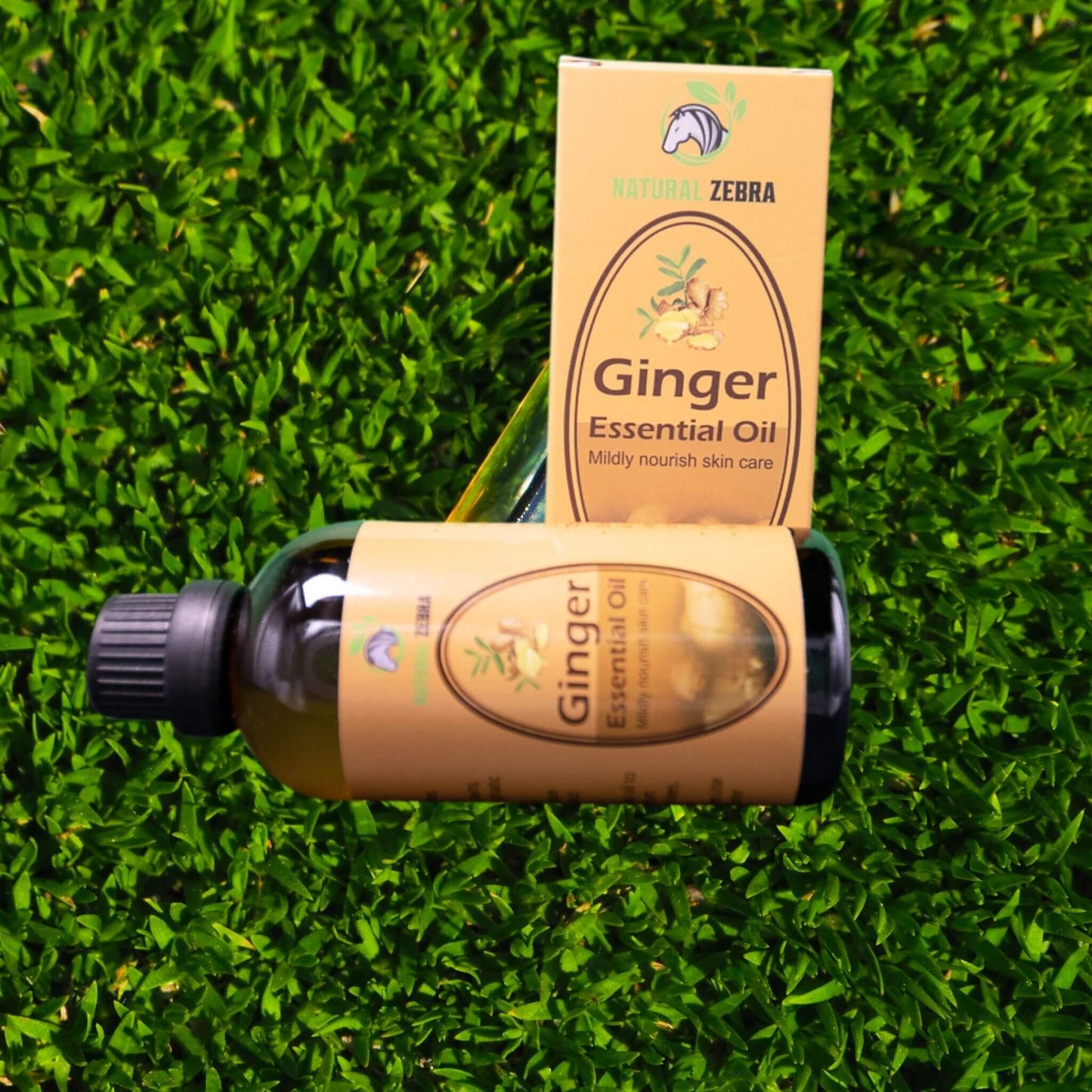 NATURAL ZEBRA | Ginger Essential Oil - 100ml -