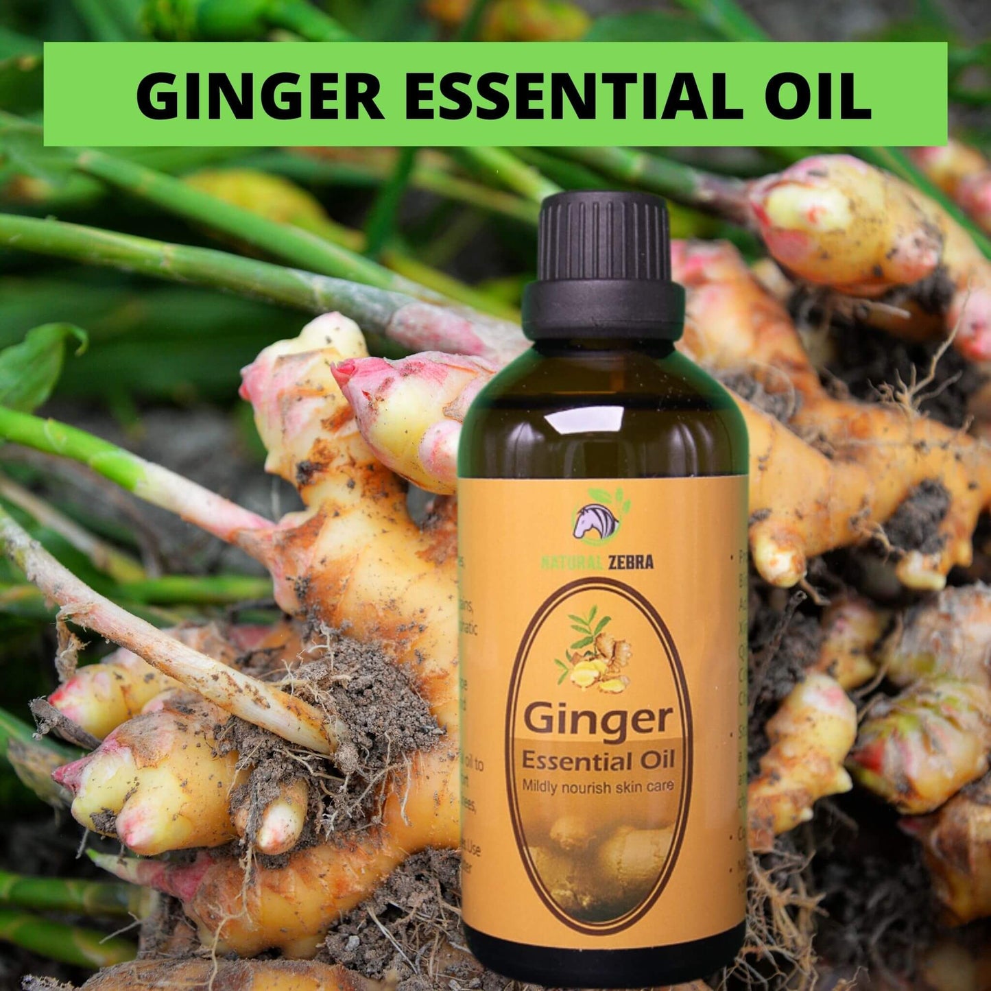 NATURAL ZEBRA | Ginger Essential Oil - 100ml -