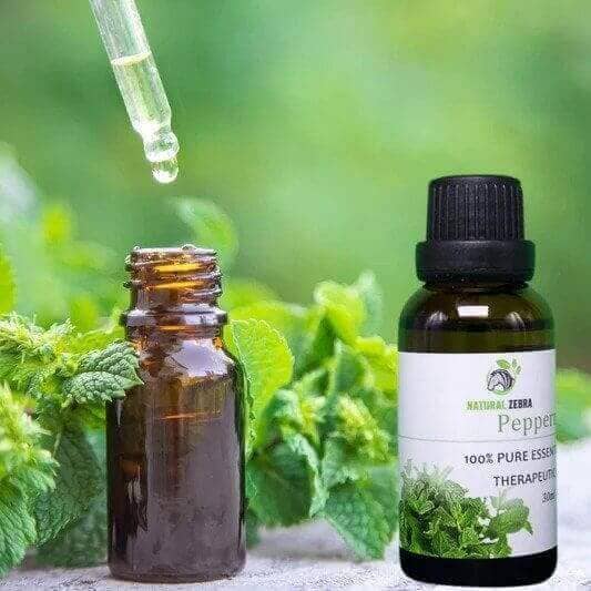 NATURAL ZEBRA | Peppermint Essential Oil -