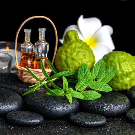 Bergamot Essential Oil - A Comprehensive Guide to Unlock the Power