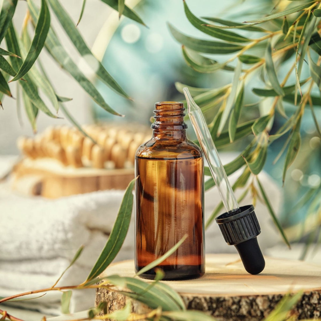 The Healing Benefits of Eucalyptus Essential Oil