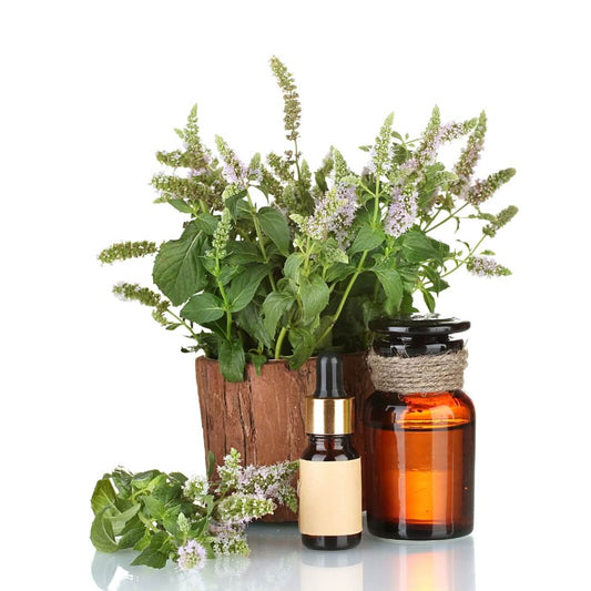 The Many Benefits of Peppermint Essential Oil