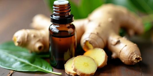 How to use ginger essential oils and the benefits