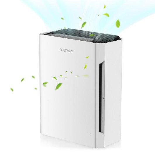 H13 True HEPA Air Purifier with Adjustable Wind Speeds at Set Shop and Smile