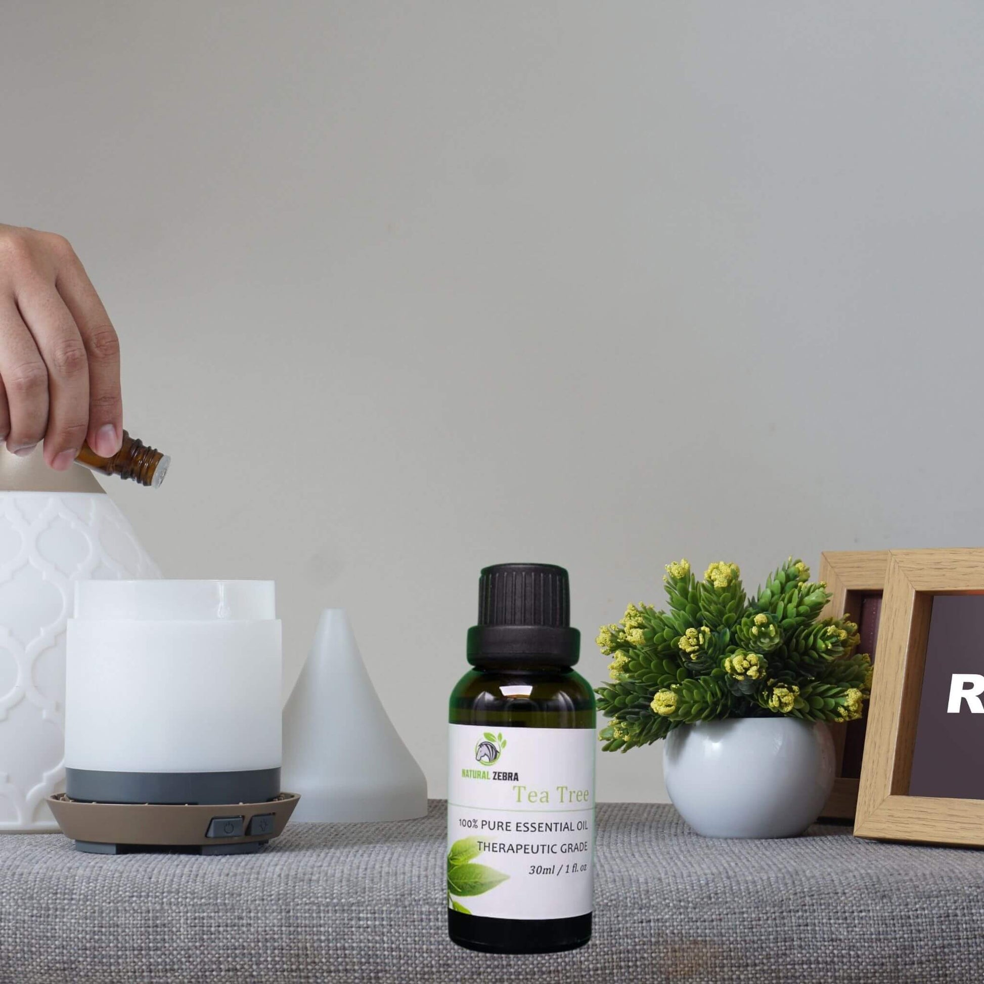 NATURAL ZEBRA | Tea Tree Essential Oil -