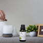 NATURAL ZEBRA | Tea Tree Essential Oil -