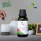 NATURAL ZEBRA | Geranium Essential Oil -
