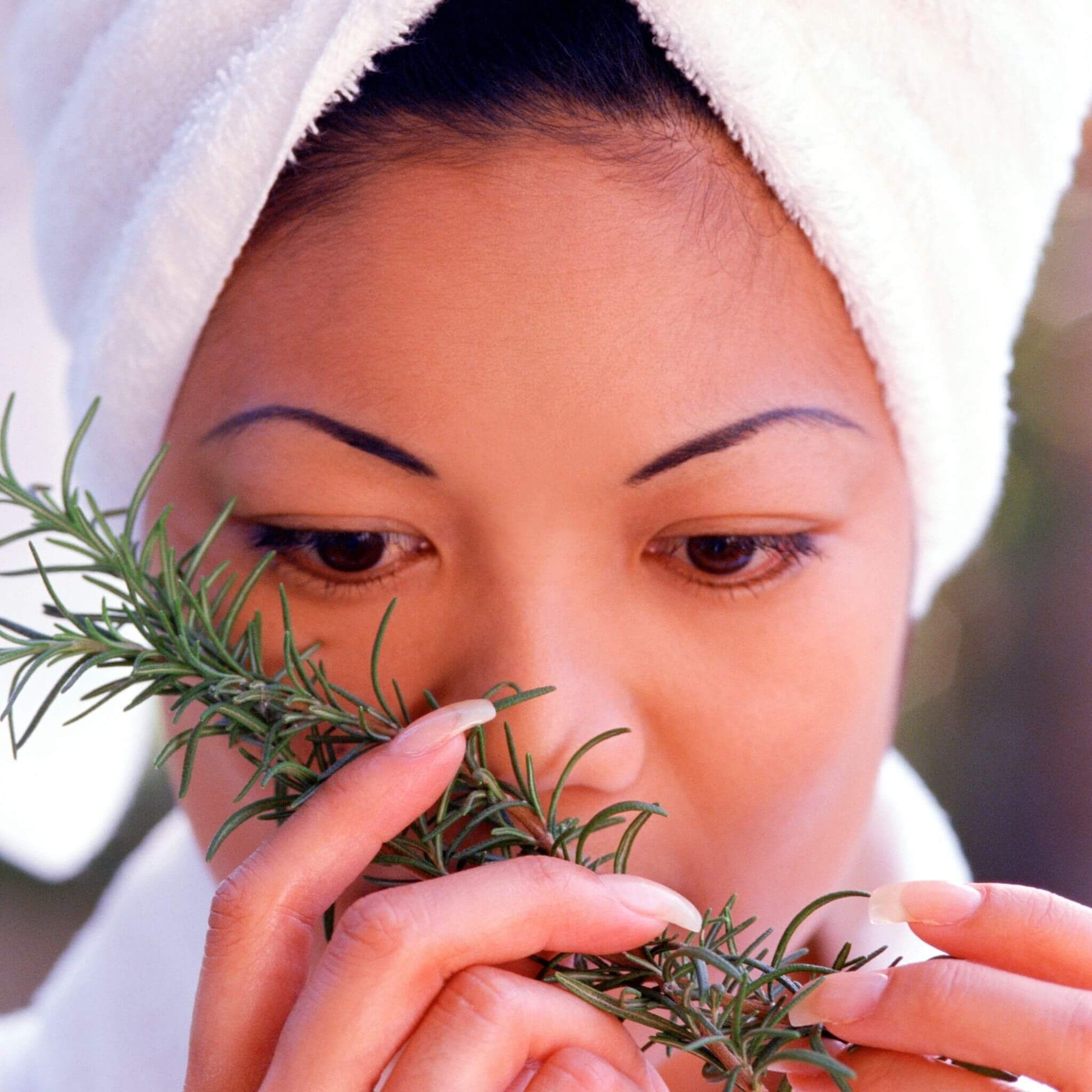 NATURAL ZEBRA | Rosemary Essential Oil -