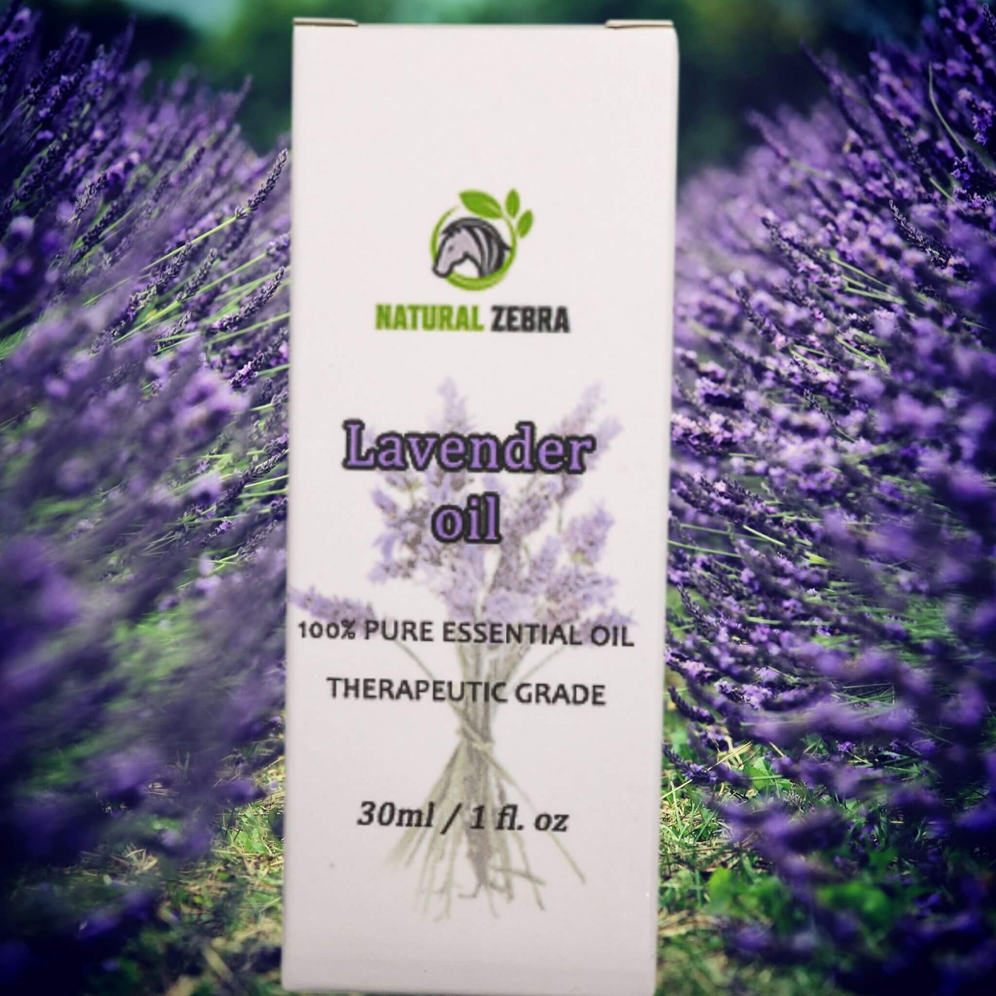 NATURAL ZEBRA | Lavender Essential Oil -