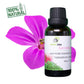 NATURAL ZEBRA | Geranium Essential Oil -