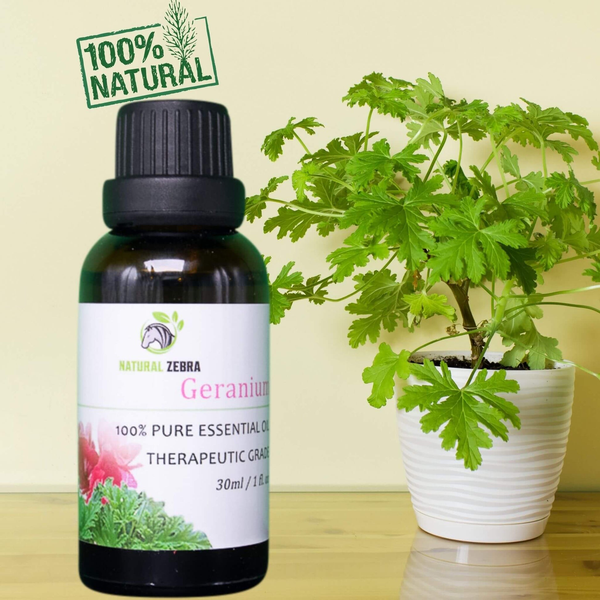NATURAL ZEBRA | Geranium Essential Oil -