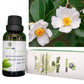 NATURAL ZEBRA | Tea Tree Essential Oil -