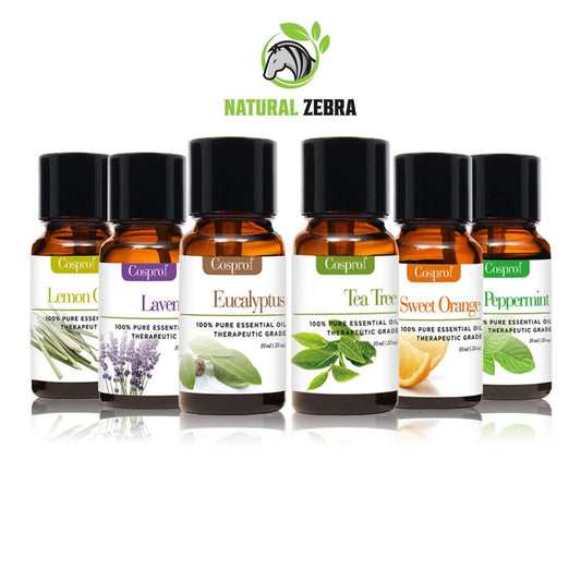 NATURAL ZEBRA | Essential Oils For Aromatherapy (Pack of 6) -