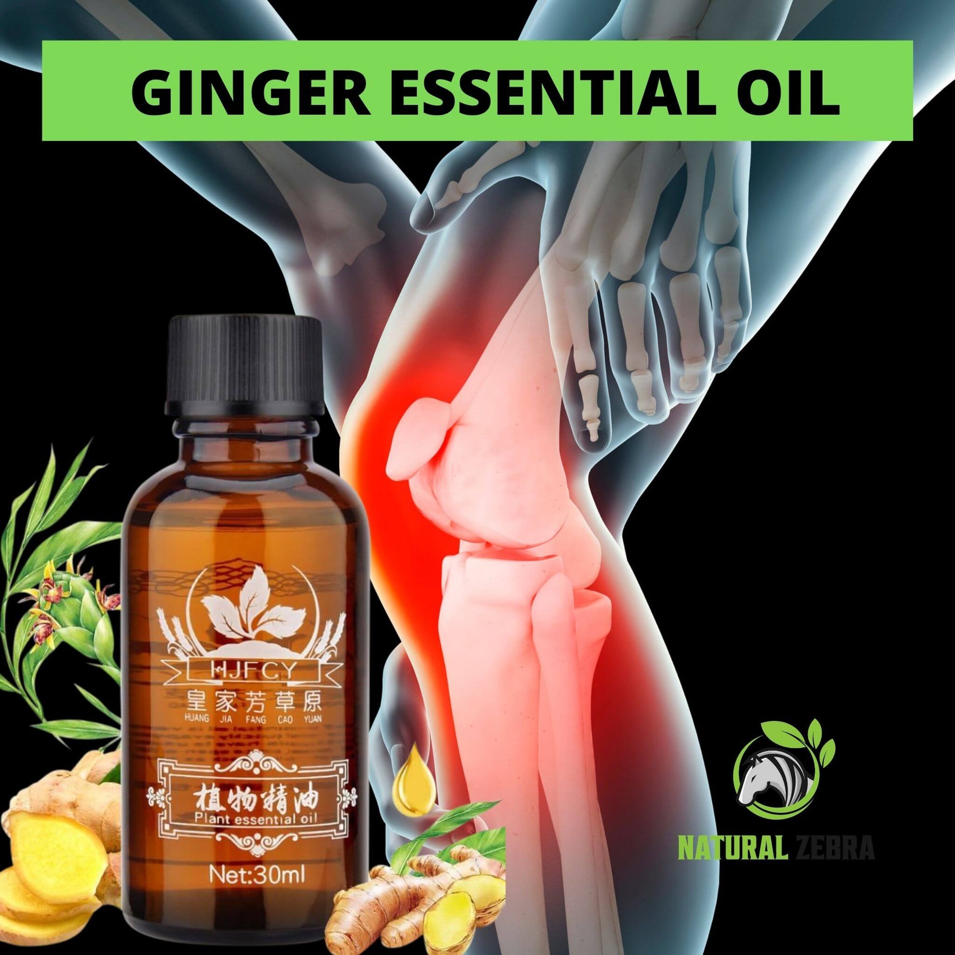Ginger Essential Oil - 30ml - 34 - NATURAL ZEBRA