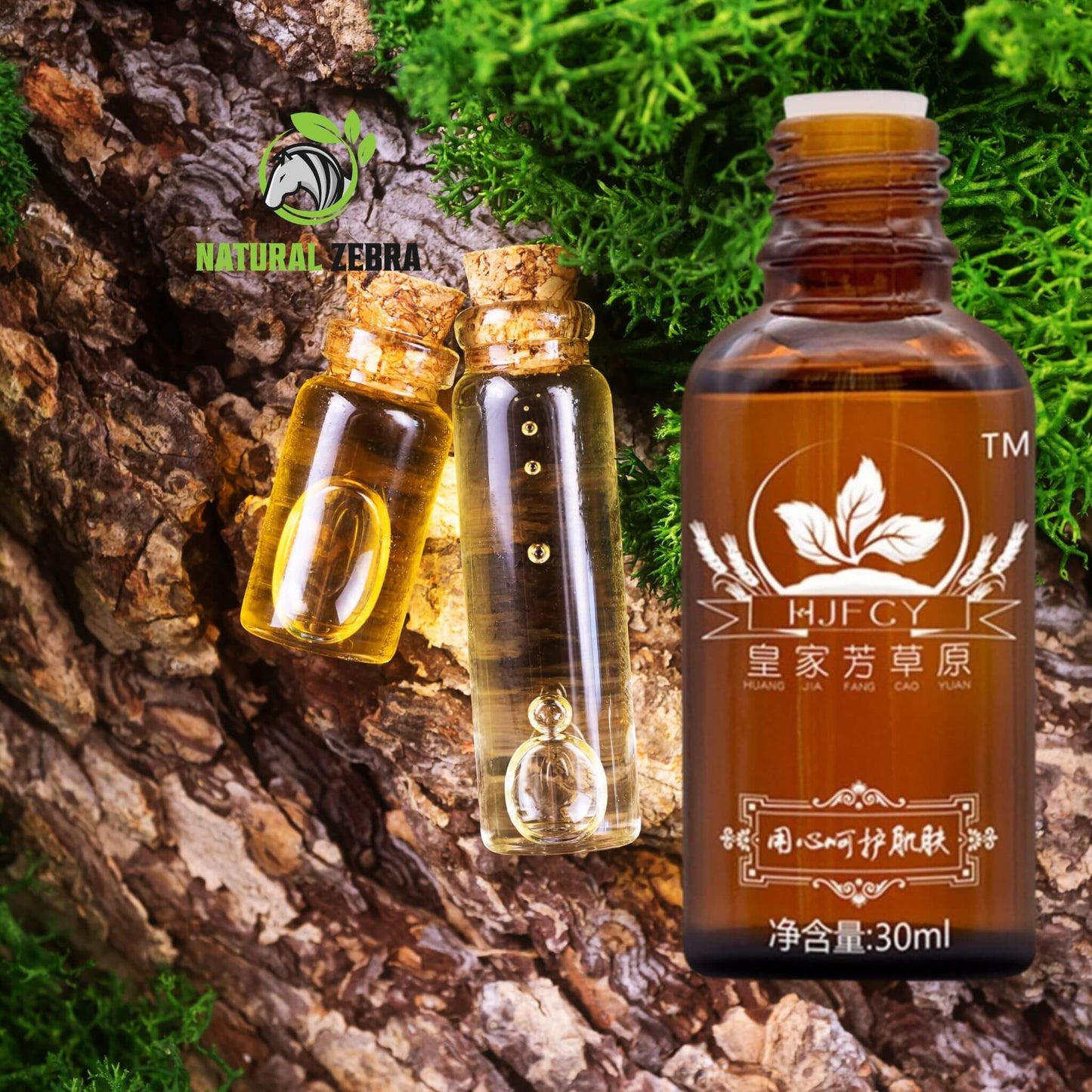 Ginger Essential Oil - 30ml - 13 - NATURAL ZEBRA