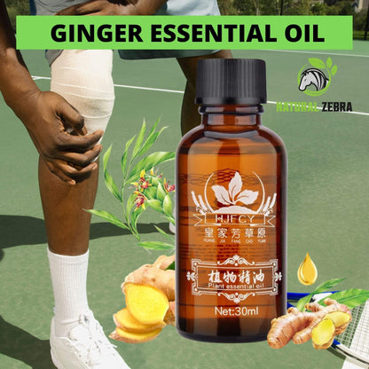 Ginger Essential Oil - 30ml - 37 - NATURAL ZEBRA